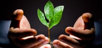 Introdução à Gestão Ambiental